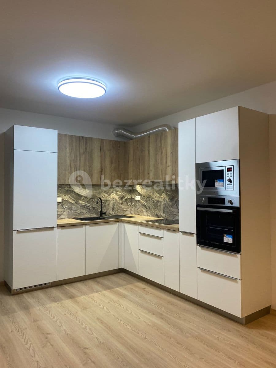 1 bedroom with open-plan kitchen flat to rent, 52 m², Ondrákové, Prague, Prague 1 bedroom with open-plan kitchen flat to rent, 52 m², Ondrákové, Prague, Prague