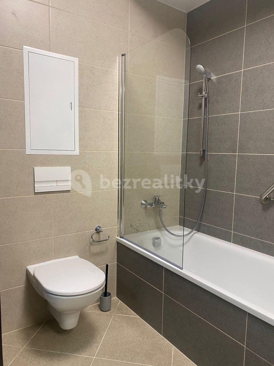 1 bedroom with open-plan kitchen flat to rent, 52 m², Ondrákové, Prague, Prague 1 bedroom with open-plan kitchen flat to rent, 52 m², Ondrákové, Prague, Prague