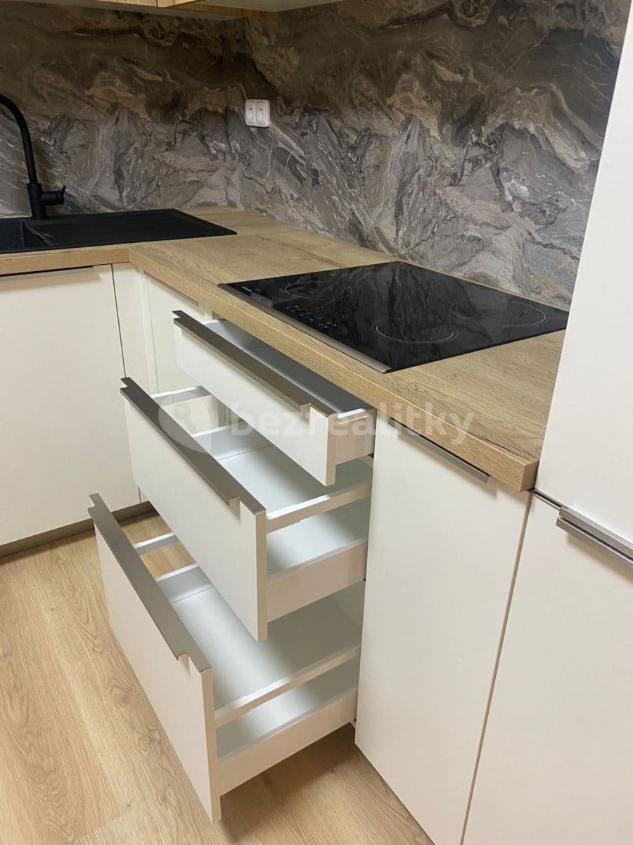 1 bedroom with open-plan kitchen flat to rent, 52 m², Ondrákové, Prague, Prague 1 bedroom with open-plan kitchen flat to rent, 52 m², Ondrákové, Prague, Prague