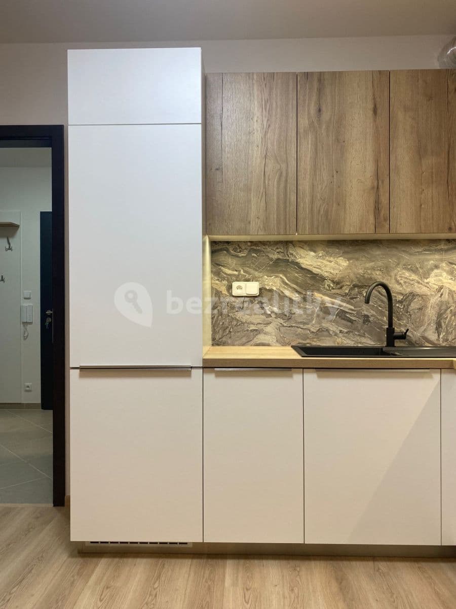 1 bedroom with open-plan kitchen flat to rent, 52 m², Ondrákové, Prague, Prague 1 bedroom with open-plan kitchen flat to rent, 52 m², Ondrákové, Prague, Prague