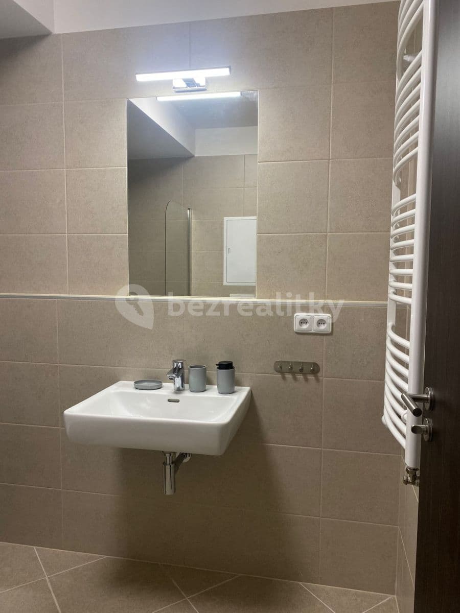 1 bedroom with open-plan kitchen flat to rent, 52 m², Ondrákové, Prague, Prague 1 bedroom with open-plan kitchen flat to rent, 52 m², Ondrákové, Prague, Prague