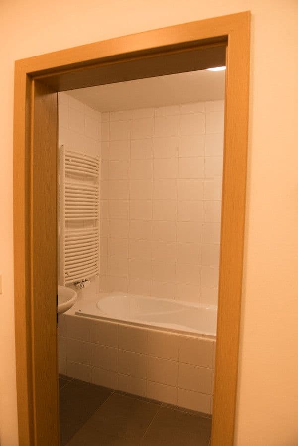 1 bedroom with open-plan kitchen flat to rent, 53 m², Jeřabinová, Prague, Prague 1 bedroom with open-plan kitchen flat to rent, 53 m², Jeřabinová, Prague, Prague