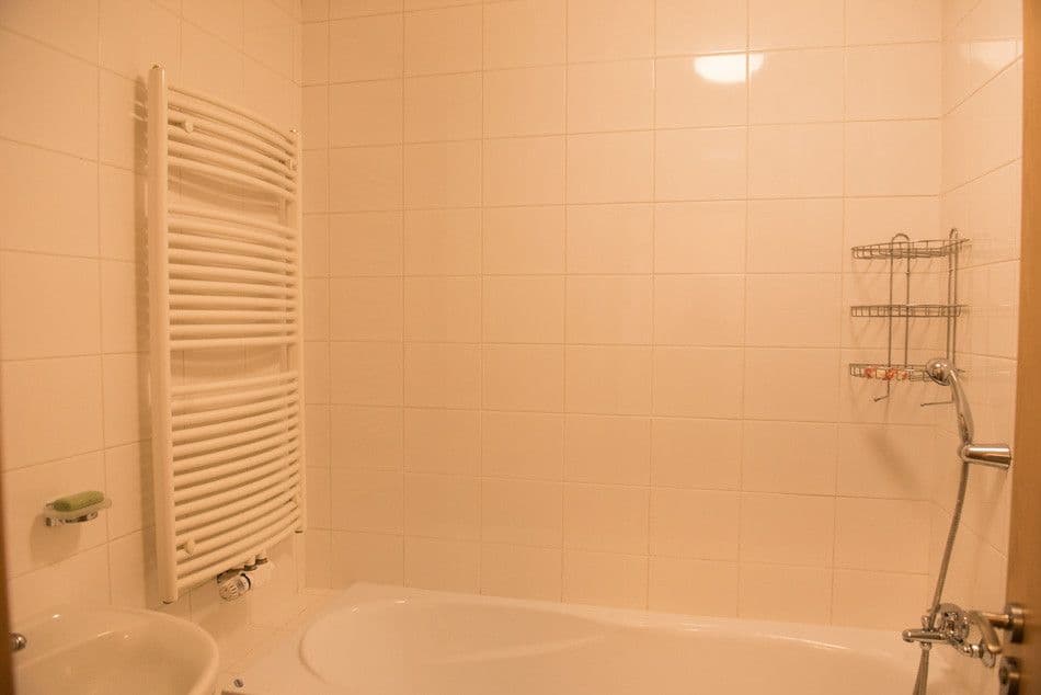 1 bedroom with open-plan kitchen flat to rent, 53 m², Jeřabinová, Prague, Prague 1 bedroom with open-plan kitchen flat to rent, 53 m², Jeřabinová, Prague, Prague