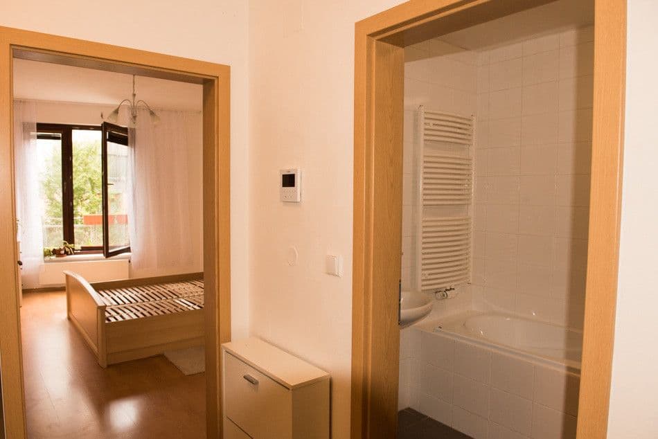 1 bedroom with open-plan kitchen flat to rent, 53 m², Jeřabinová, Prague, Prague 1 bedroom with open-plan kitchen flat to rent, 53 m², Jeřabinová, Prague, Prague