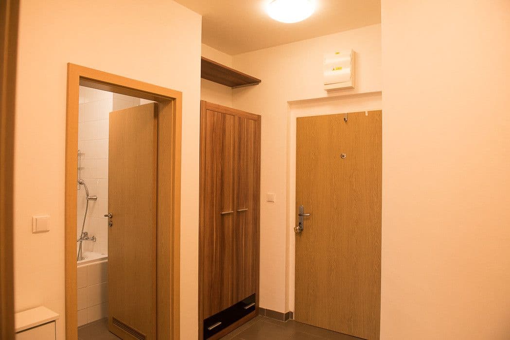 1 bedroom with open-plan kitchen flat to rent, 53 m², Jeřabinová, Prague, Prague 1 bedroom with open-plan kitchen flat to rent, 53 m², Jeřabinová, Prague, Prague