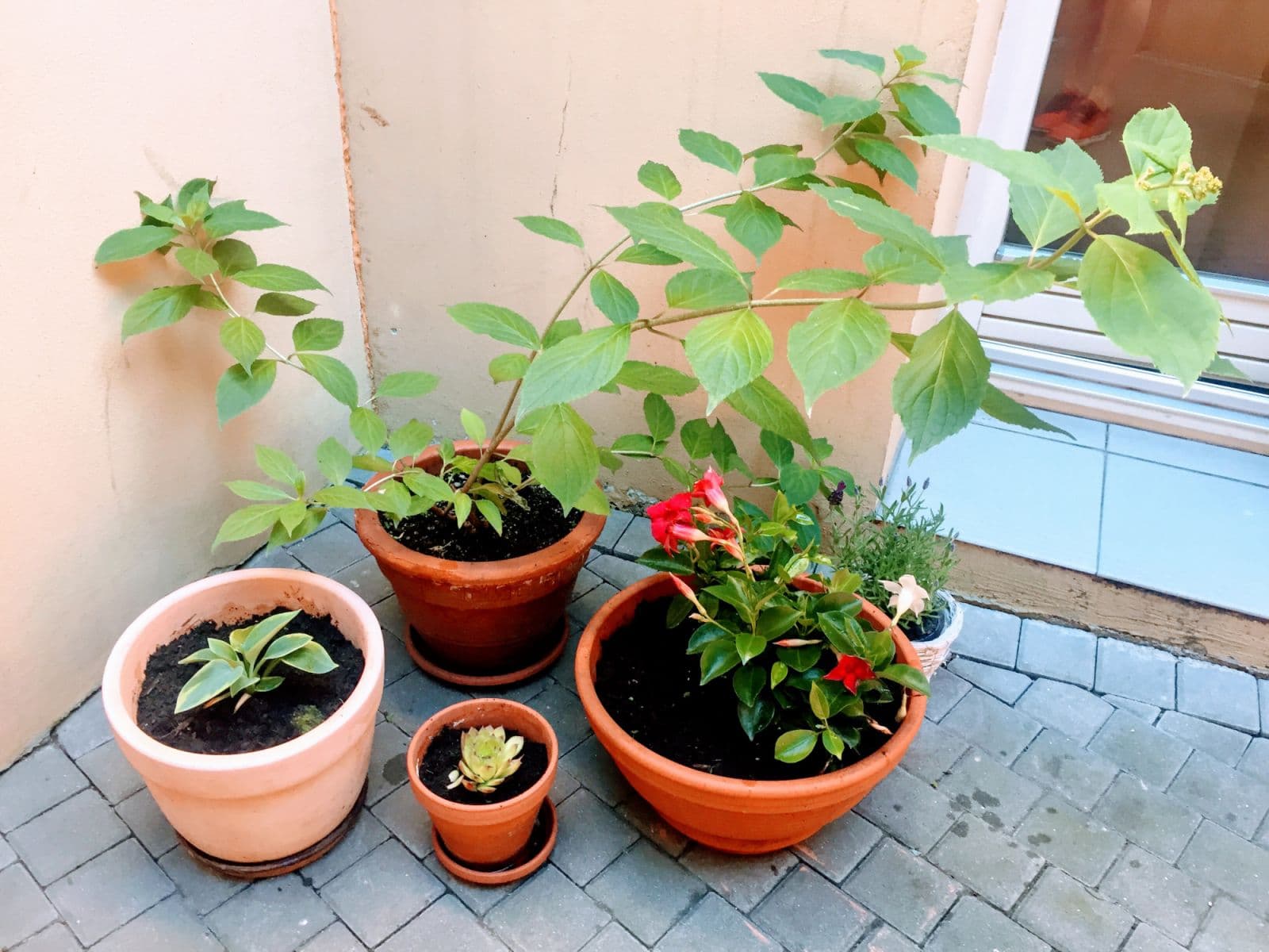 flat to rent, 20 m², Levá, Prague, Prague flat to rent, 20 m², Levá, Prague, Prague