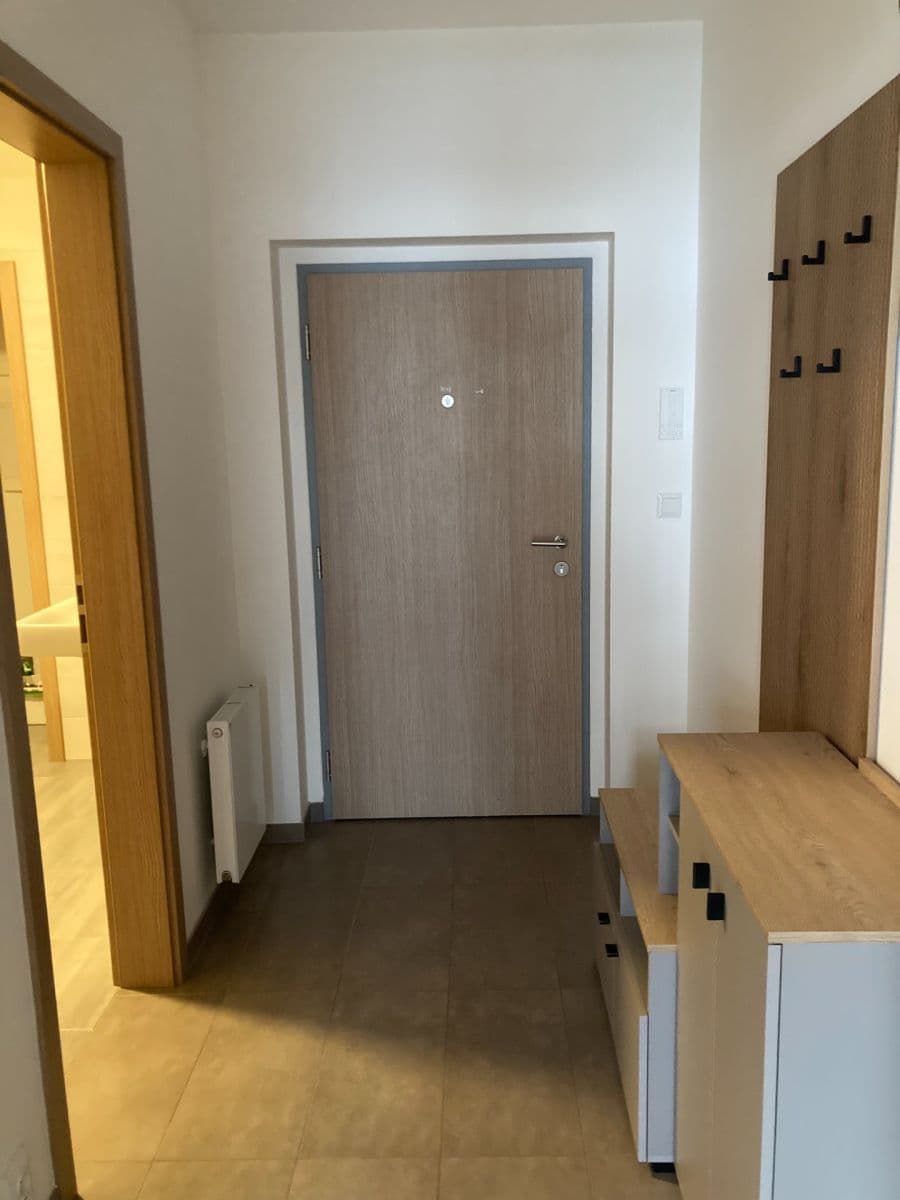 1 bedroom with open-plan kitchen flat to rent, 56 m², Naskové, Prague, Prague 1 bedroom with open-plan kitchen flat to rent, 56 m², Naskové, Prague, Prague