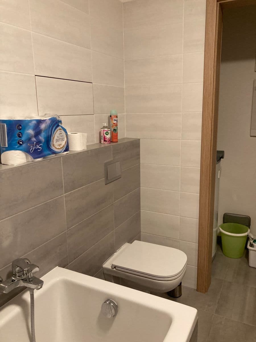 1 bedroom with open-plan kitchen flat to rent, 56 m², Naskové, Prague, Prague 1 bedroom with open-plan kitchen flat to rent, 56 m², Naskové, Prague, Prague