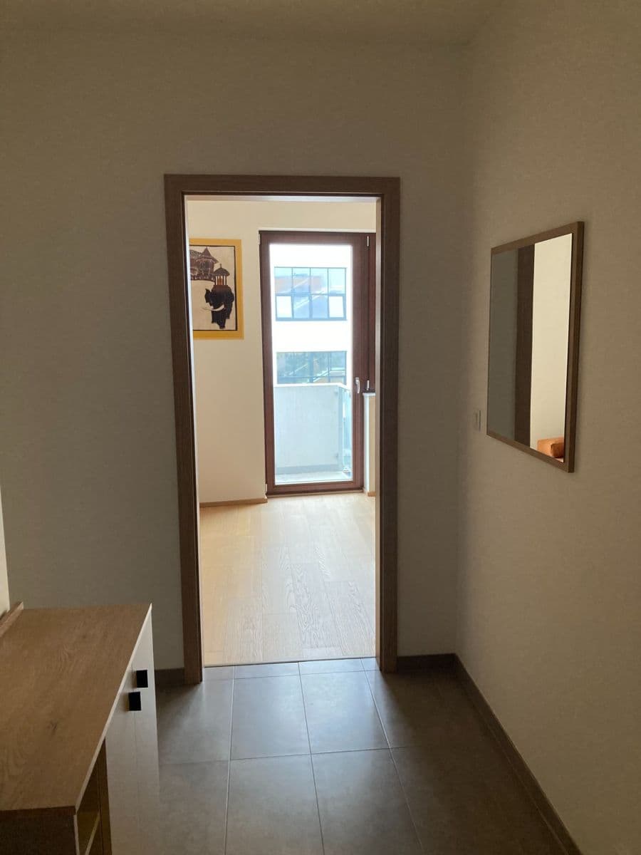 1 bedroom with open-plan kitchen flat to rent, 56 m², Naskové, Prague, Prague 1 bedroom with open-plan kitchen flat to rent, 56 m², Naskové, Prague, Prague