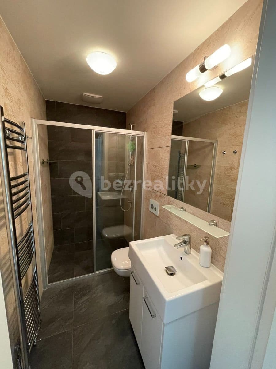 1 bedroom with open-plan kitchen flat to rent, 50 m², Kališnická, Prague, Prague 1 bedroom with open-plan kitchen flat to rent, 50 m², Kališnická, Prague, Prague