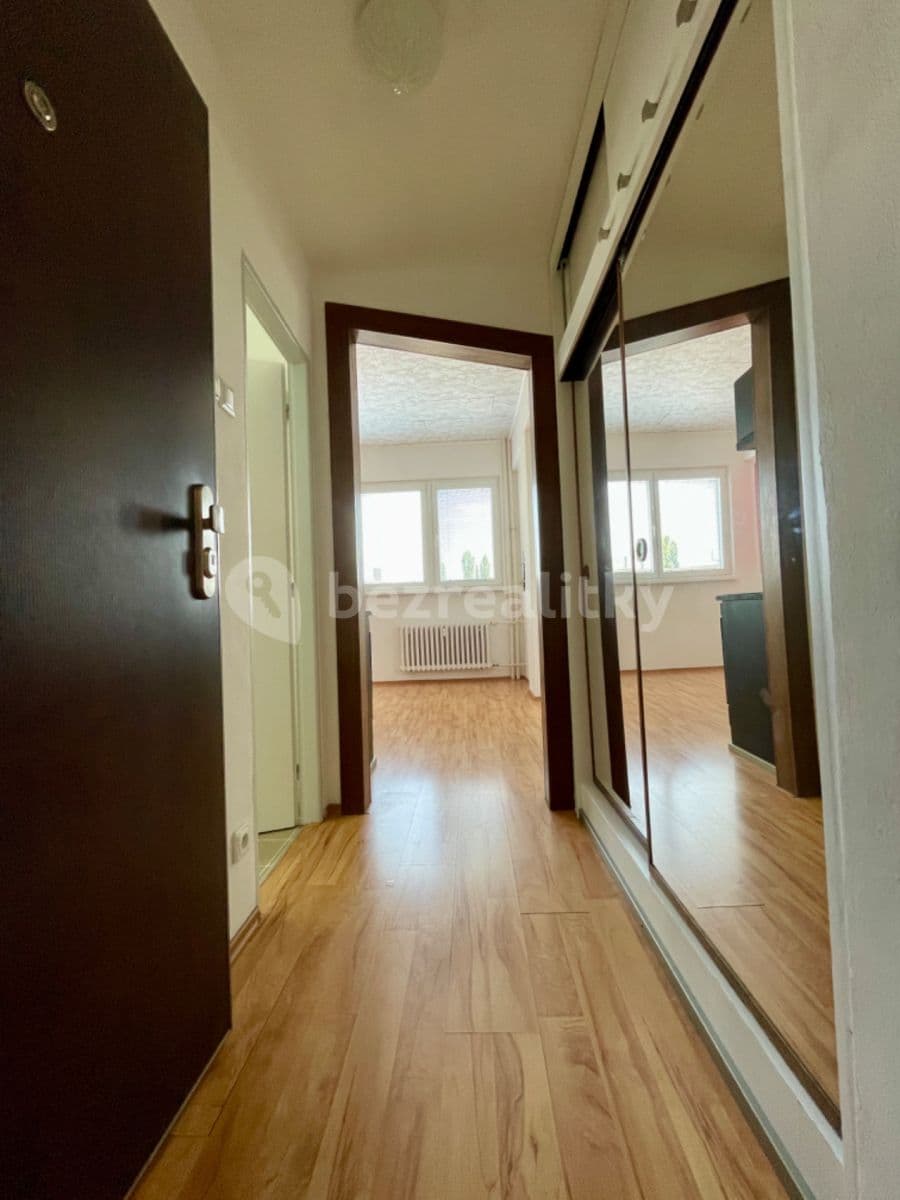 1 bedroom with open-plan kitchen flat to rent, 30 m², Na Okruhu, Prague, Prague 1 bedroom with open-plan kitchen flat to rent, 30 m², Na Okruhu, Prague, Prague