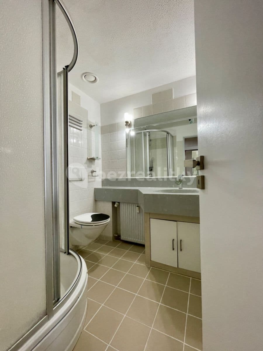 1 bedroom with open-plan kitchen flat to rent, 30 m², Na Okruhu, Prague, Prague 1 bedroom with open-plan kitchen flat to rent, 30 m², Na Okruhu, Prague, Prague