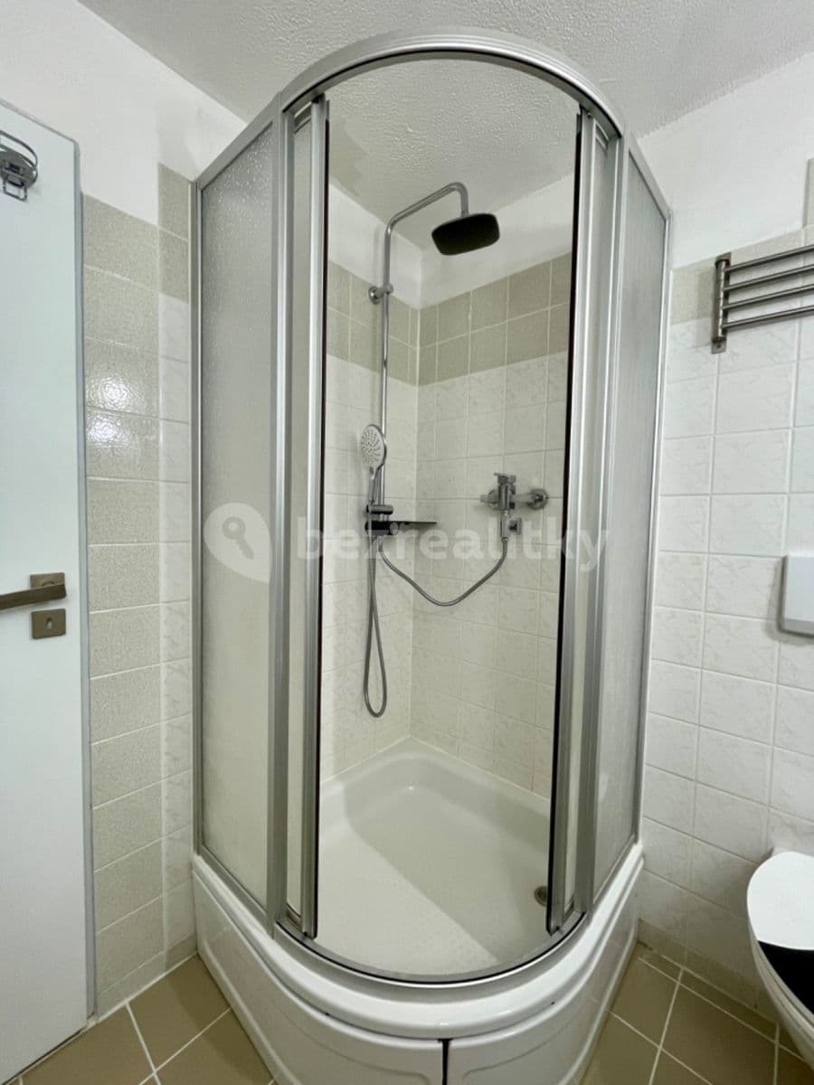 1 bedroom with open-plan kitchen flat to rent, 30 m², Na Okruhu, Prague, Prague 1 bedroom with open-plan kitchen flat to rent, 30 m², Na Okruhu, Prague, Prague