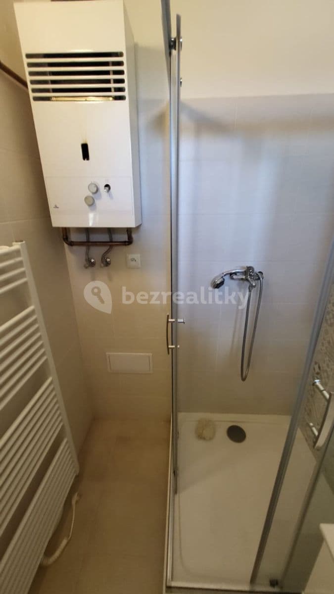 1 bedroom with open-plan kitchen flat to rent, 45 m², Humpolecká, Prague, Prague 1 bedroom with open-plan kitchen flat to rent, 45 m², Humpolecká, Prague, Prague