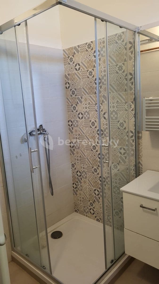 1 bedroom with open-plan kitchen flat to rent, 45 m², Humpolecká, Prague, Prague 1 bedroom with open-plan kitchen flat to rent, 45 m², Humpolecká, Prague, Prague