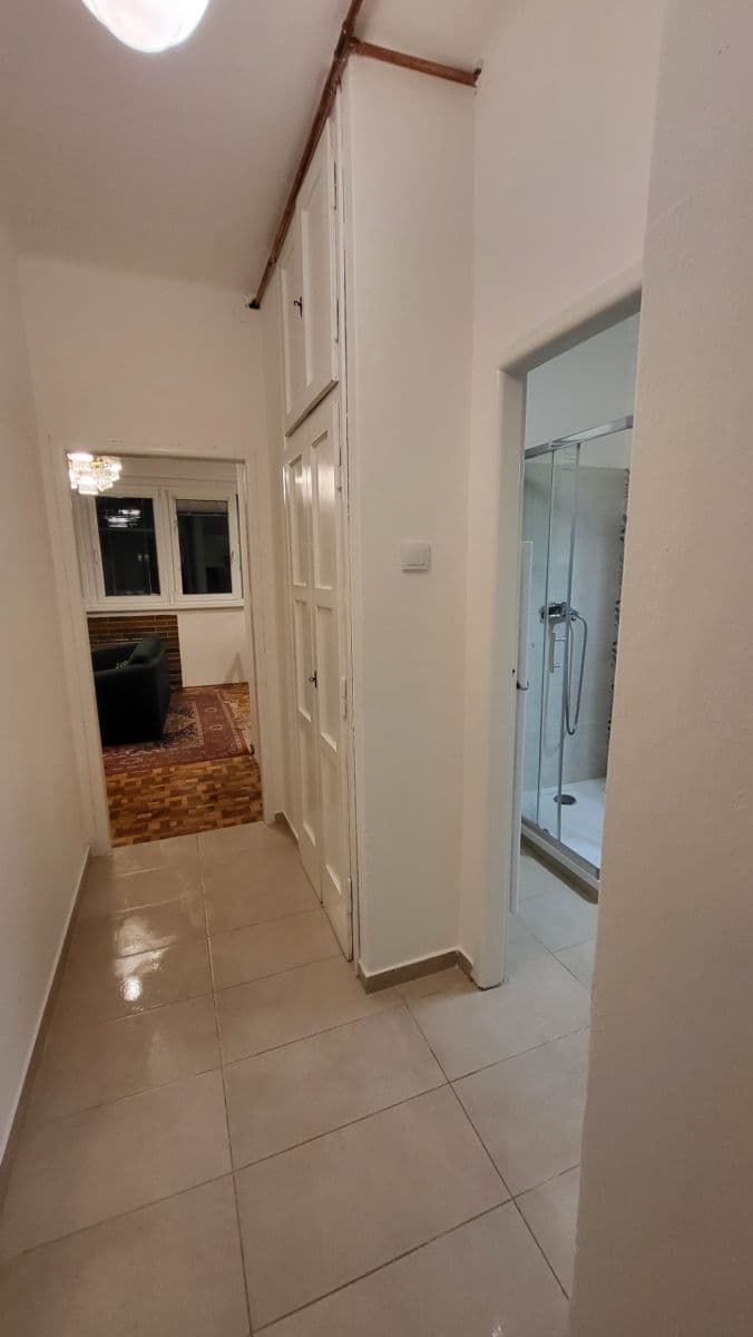 1 bedroom with open-plan kitchen flat to rent, 45 m², Humpolecká, Prague, Prague 1 bedroom with open-plan kitchen flat to rent, 45 m², Humpolecká, Prague, Prague