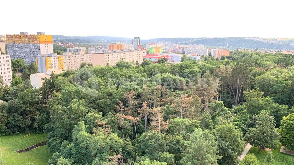3 bedroom flat to rent, 65 m², Hasova, Prague, Prague 3 bedroom flat to rent, 65 m², Hasova, Prague, Prague