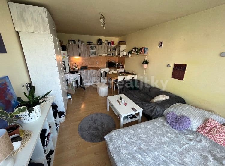 1 bedroom with open-plan kitchen flat to rent, 37 m², Olštýnská, Prague, Prague 1 bedroom with open-plan kitchen flat to rent, 37 m², Olštýnská, Prague, Prague