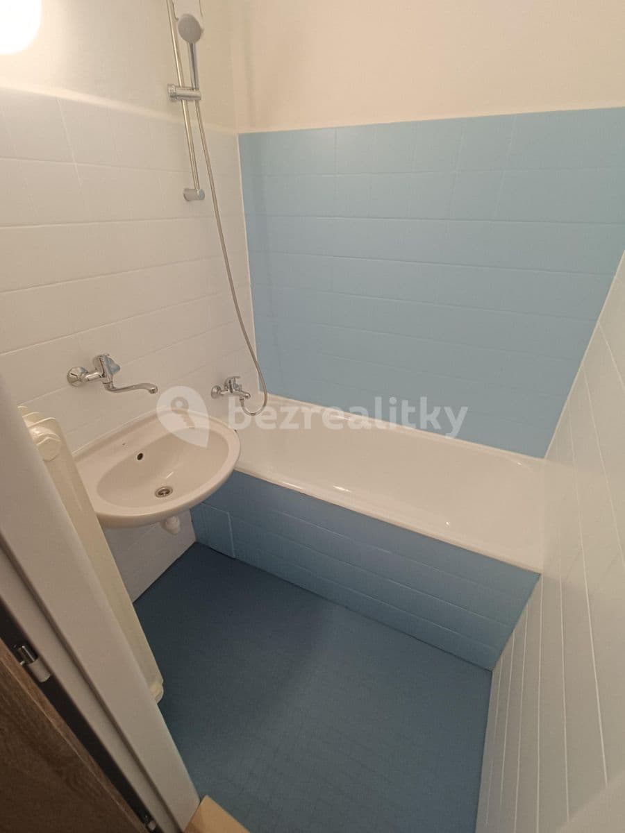 1 bedroom with open-plan kitchen flat to rent, 50 m², U Uranie, Prague, Prague 1 bedroom with open-plan kitchen flat to rent, 50 m², U Uranie, Prague, Prague