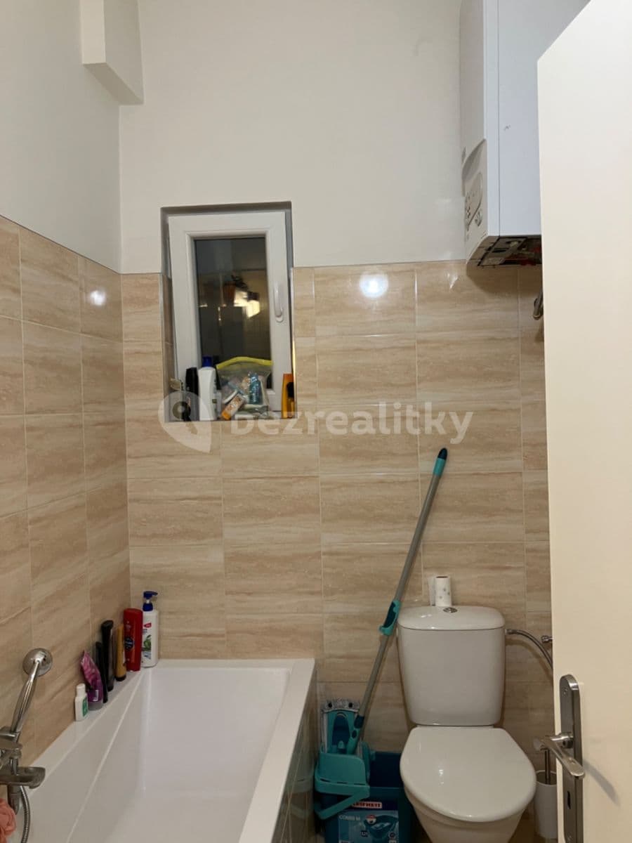 1 bedroom with open-plan kitchen flat to rent, 38 m², V Horkách, Prague, Prague 1 bedroom with open-plan kitchen flat to rent, 38 m², V Horkách, Prague, Prague