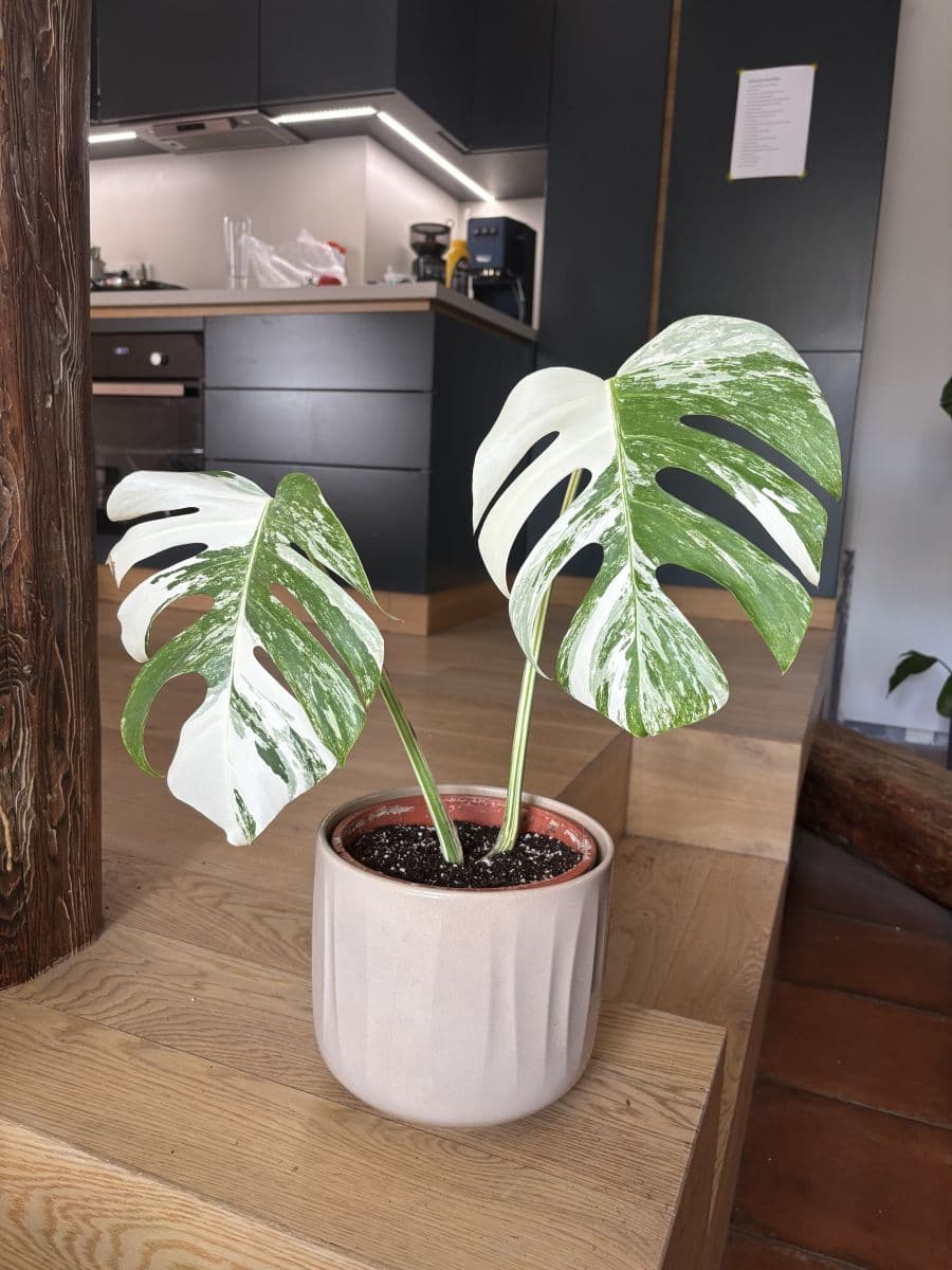 flat to rent, 77 m², Prvního pluku, Prague, Prague flat to rent, 77 m², Prvního pluku, Prague, Prague