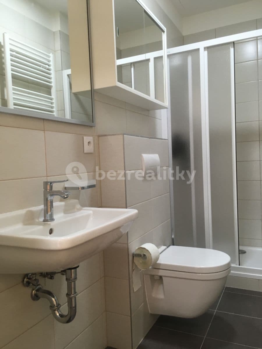 1 bedroom with open-plan kitchen flat to rent, 58 m², U Statku, Hýskov, Středočeský Region 1 bedroom with open-plan kitchen flat to rent, 58 m², U Statku, Hýskov, Středočeský Region