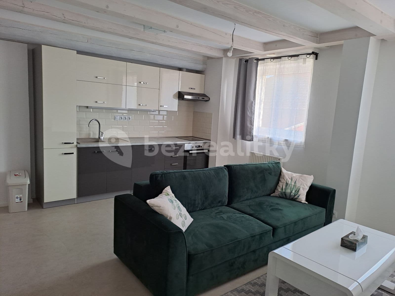 1 bedroom with open-plan kitchen flat to rent, 50 m², Za rybníkem, Lišany, Středočeský Region 1 bedroom with open-plan kitchen flat to rent, 50 m², Za rybníkem, Lišany, Středočeský Region