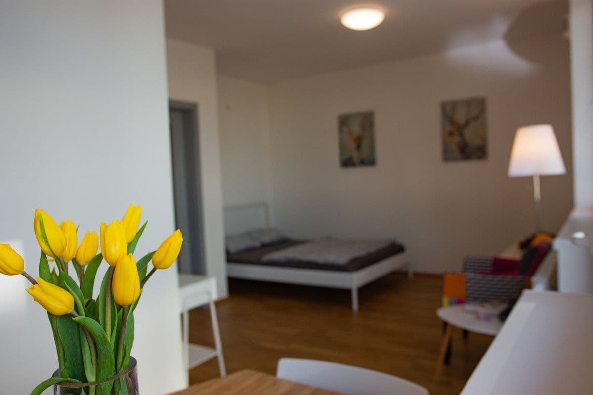 flat to rent, 39 m², Pod Stolovou Horou, Prague, Prague flat to rent, 39 m², Pod Stolovou Horou, Prague, Prague