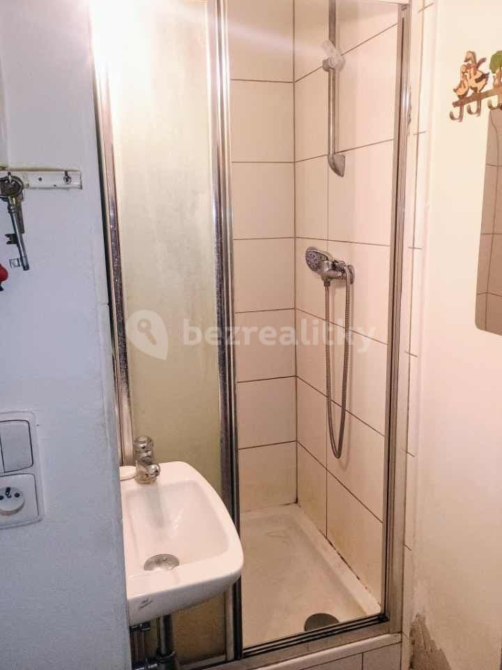 Studio flat to rent, 20 m², Dělnická, Prague, Prague Studio flat to rent, 20 m², Dělnická, Prague, Prague