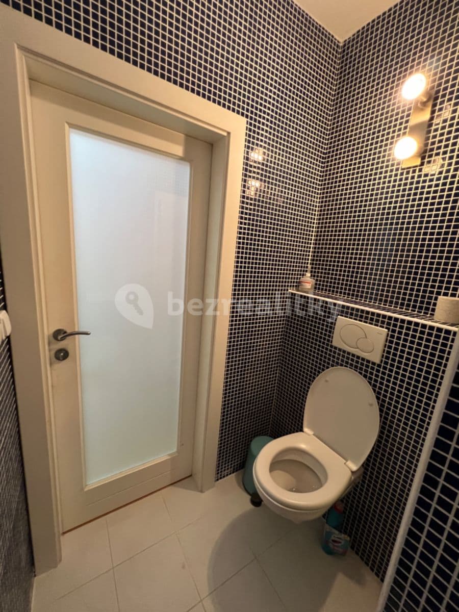 1 bedroom with open-plan kitchen flat to rent, 50 m², Bělohorská, Prague, Prague 1 bedroom with open-plan kitchen flat to rent, 50 m², Bělohorská, Prague, Prague