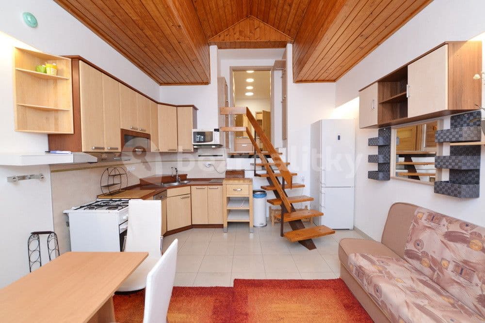 1 bedroom with open-plan kitchen flat to rent, 43 m², Nad Kolonií, Prague, Prague 1 bedroom with open-plan kitchen flat to rent, 43 m², Nad Kolonií, Prague, Prague