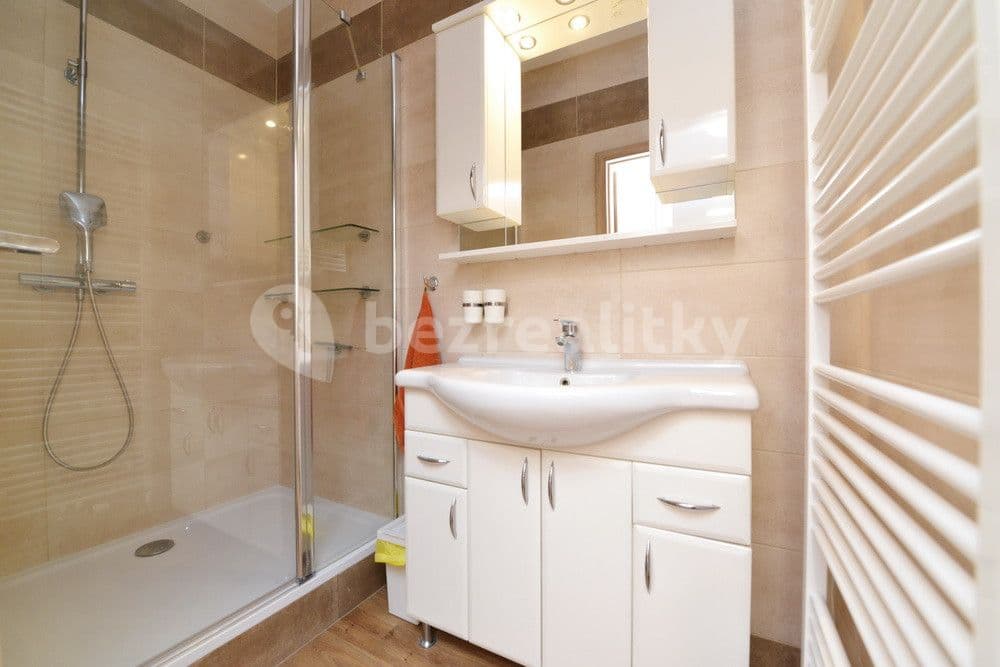 1 bedroom with open-plan kitchen flat to rent, 43 m², Nad Kolonií, Prague, Prague 1 bedroom with open-plan kitchen flat to rent, 43 m², Nad Kolonií, Prague, Prague