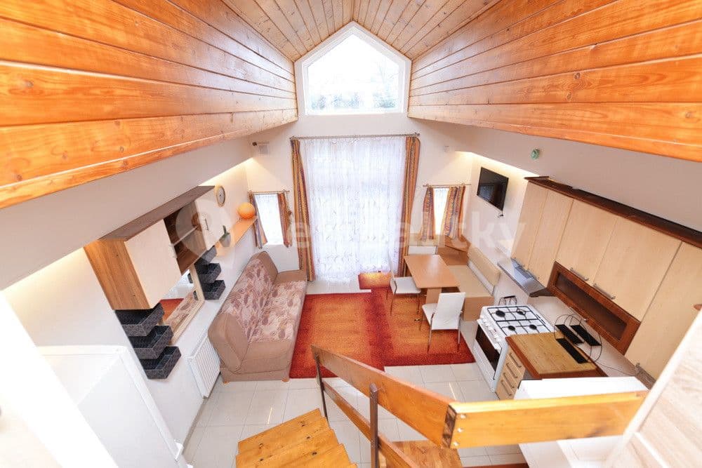 1 bedroom with open-plan kitchen flat to rent, 43 m², Nad Kolonií, Prague, Prague 1 bedroom with open-plan kitchen flat to rent, 43 m², Nad Kolonií, Prague, Prague