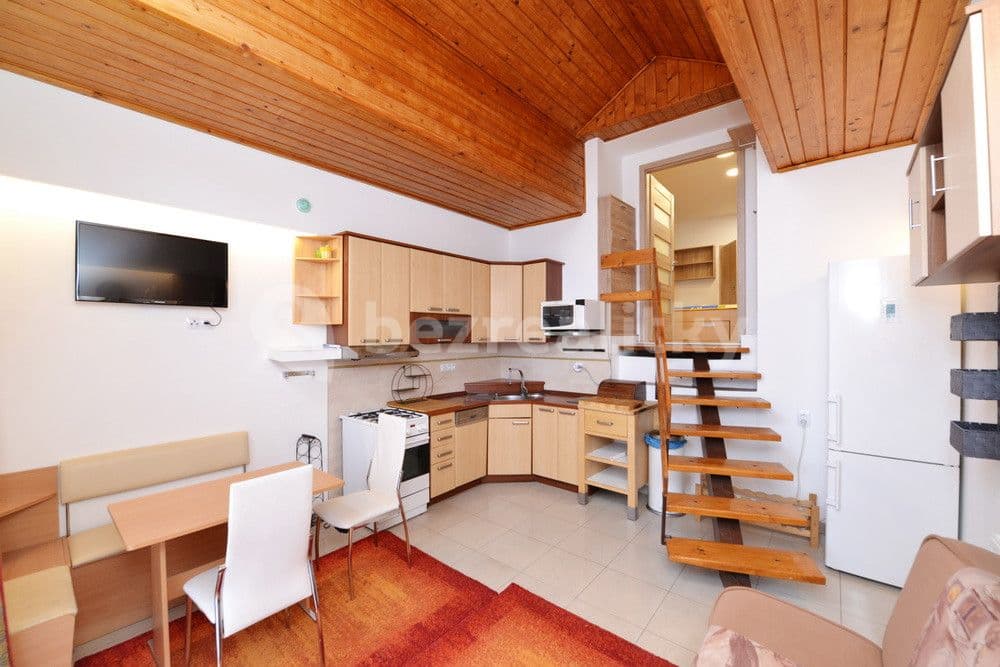 1 bedroom with open-plan kitchen flat to rent, 43 m², Nad Kolonií, Prague, Prague 1 bedroom with open-plan kitchen flat to rent, 43 m², Nad Kolonií, Prague, Prague