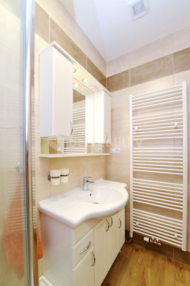 1 bedroom with open-plan kitchen flat to rent, 43 m², Nad Kolonií, Prague, Prague 1 bedroom with open-plan kitchen flat to rent, 43 m², Nad Kolonií, Prague, Prague