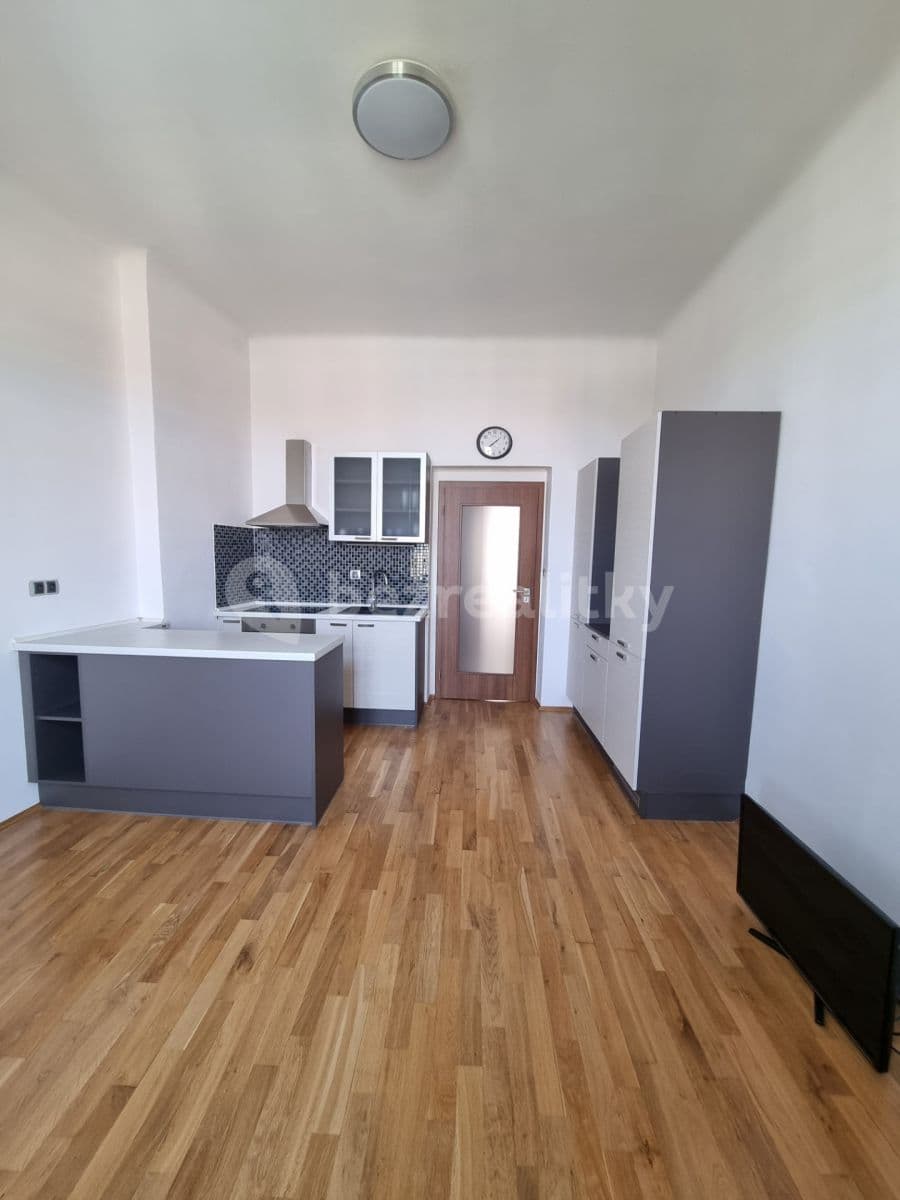 1 bedroom with open-plan kitchen flat to rent, 45 m², Baarova, Prague, Prague 1 bedroom with open-plan kitchen flat to rent, 45 m², Baarova, Prague, Prague