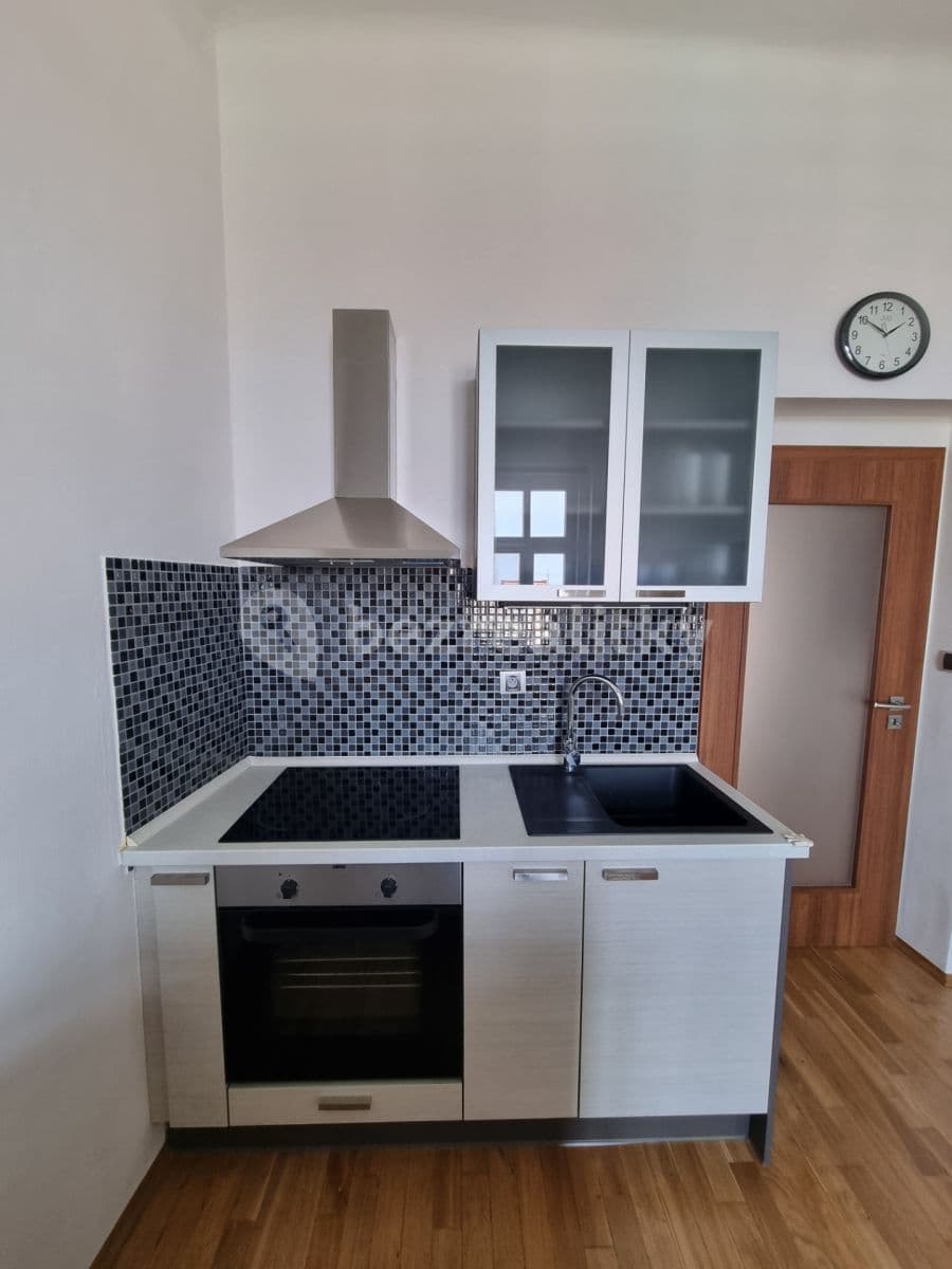 1 bedroom with open-plan kitchen flat to rent, 45 m², Baarova, Prague, Prague 1 bedroom with open-plan kitchen flat to rent, 45 m², Baarova, Prague, Prague