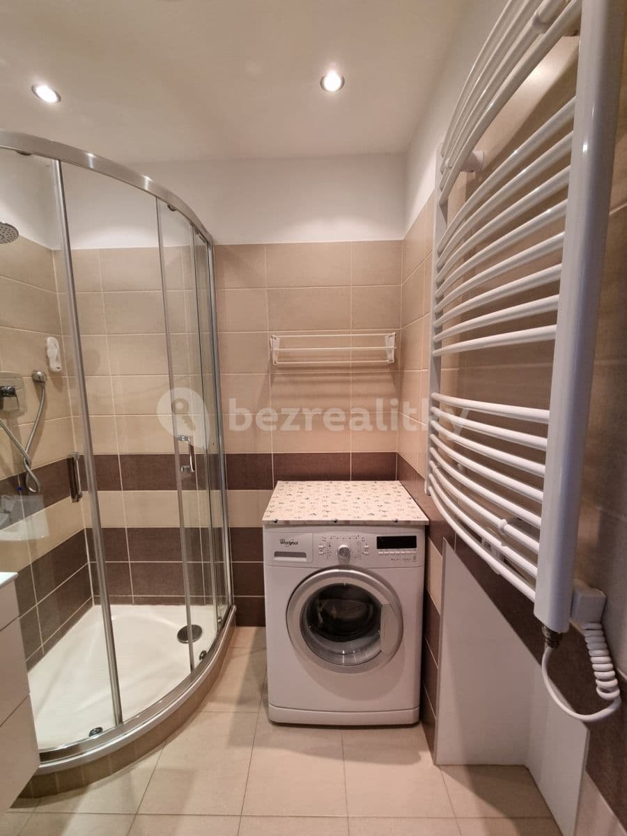1 bedroom with open-plan kitchen flat to rent, 45 m², Baarova, Prague, Prague 1 bedroom with open-plan kitchen flat to rent, 45 m², Baarova, Prague, Prague