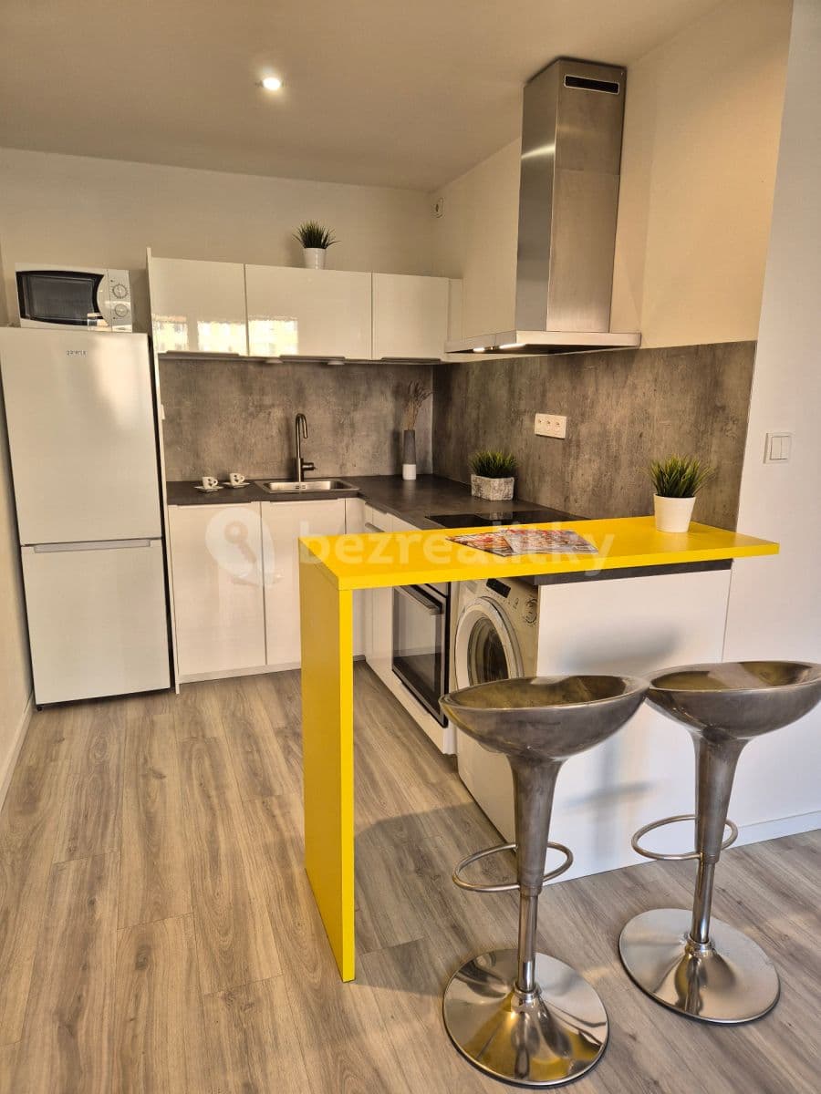 1 bedroom with open-plan kitchen flat to rent, 43 m², Boloňská, Prague, Prague 1 bedroom with open-plan kitchen flat to rent, 43 m², Boloňská, Prague, Prague