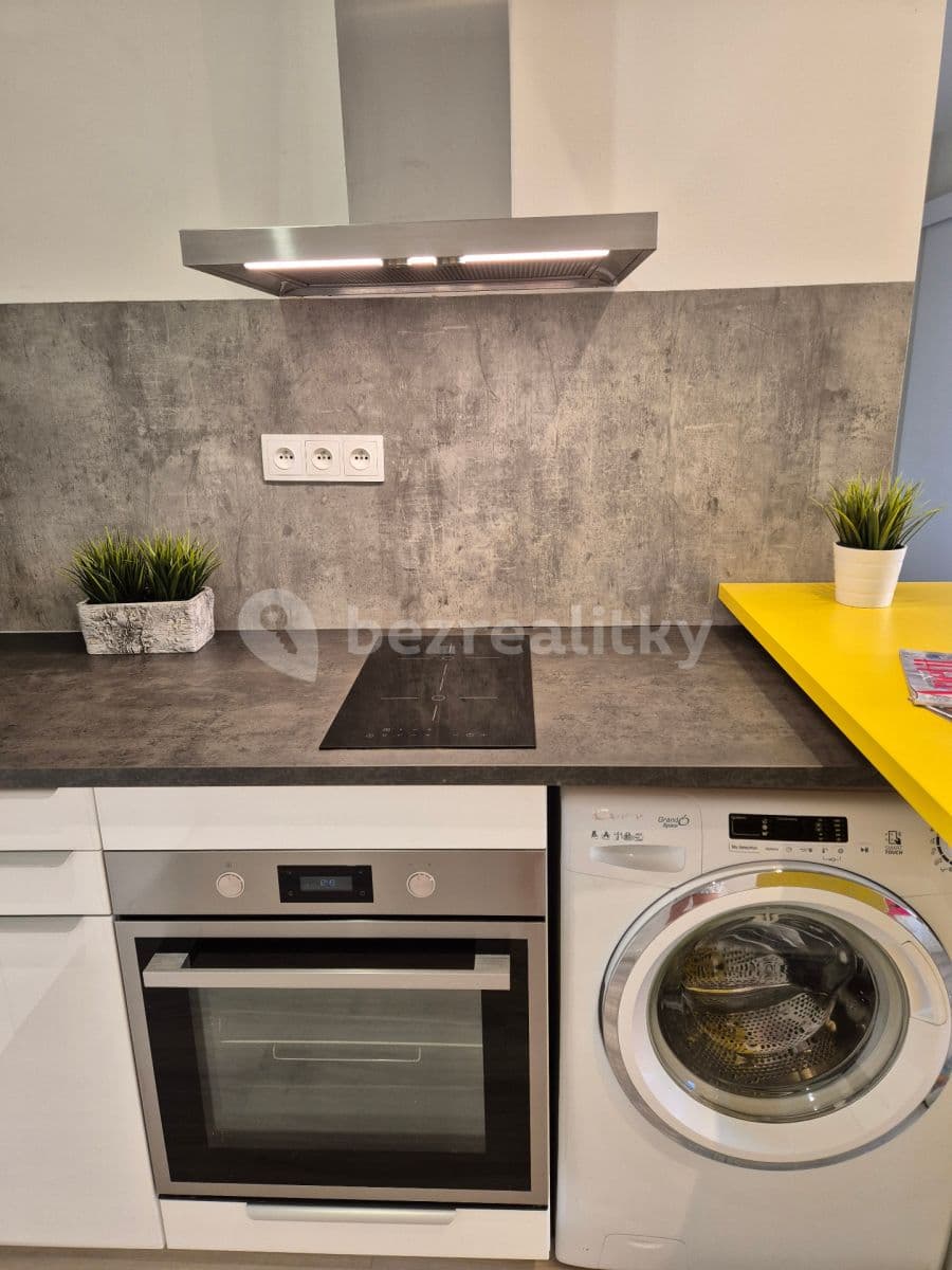 1 bedroom with open-plan kitchen flat to rent, 43 m², Boloňská, Prague, Prague 1 bedroom with open-plan kitchen flat to rent, 43 m², Boloňská, Prague, Prague