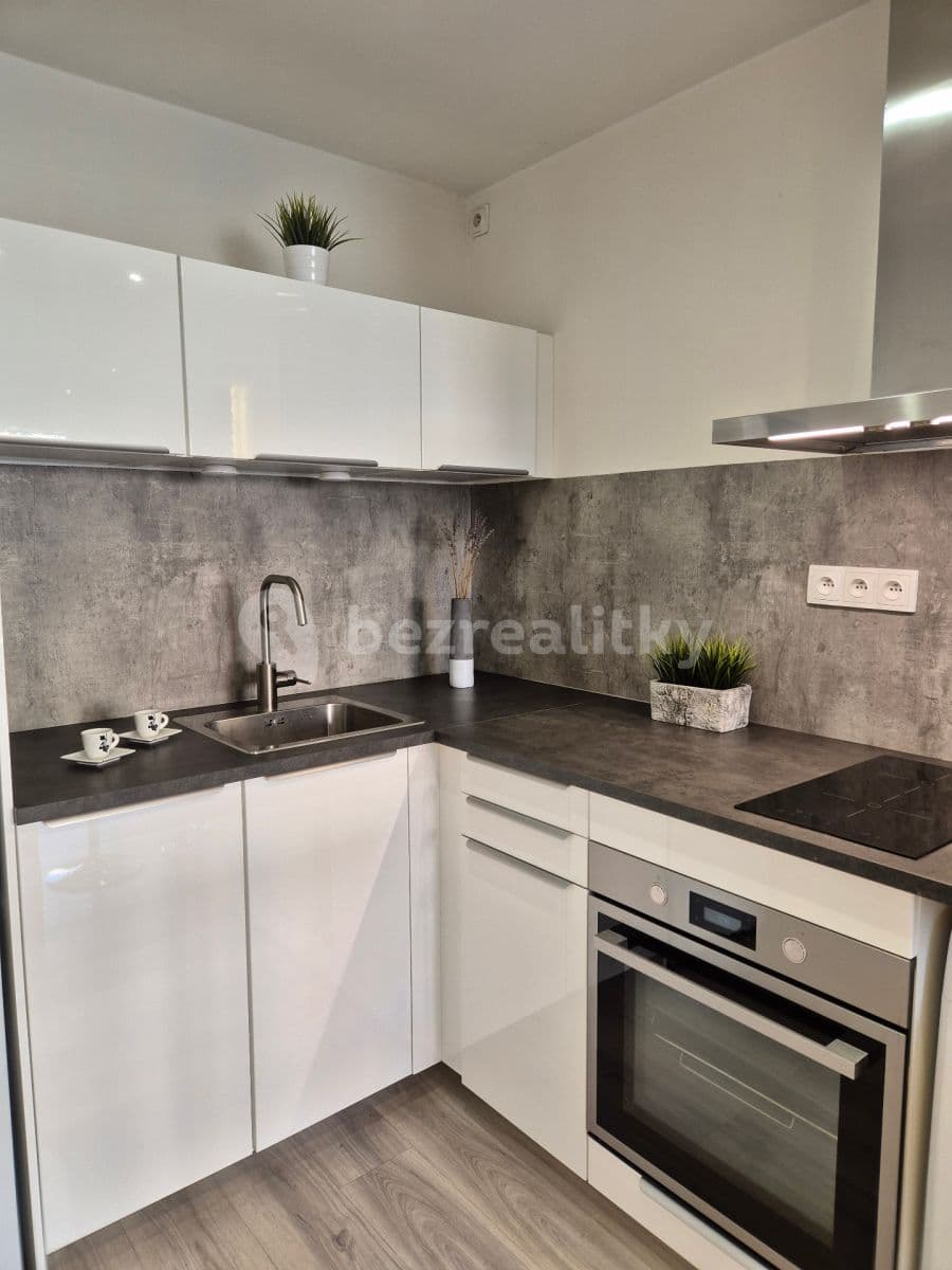 1 bedroom with open-plan kitchen flat to rent, 43 m², Boloňská, Prague, Prague 1 bedroom with open-plan kitchen flat to rent, 43 m², Boloňská, Prague, Prague