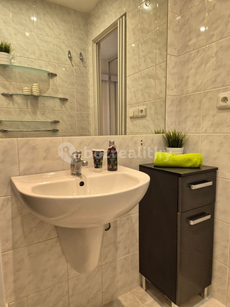 1 bedroom with open-plan kitchen flat to rent, 43 m², Boloňská, Prague, Prague 1 bedroom with open-plan kitchen flat to rent, 43 m², Boloňská, Prague, Prague