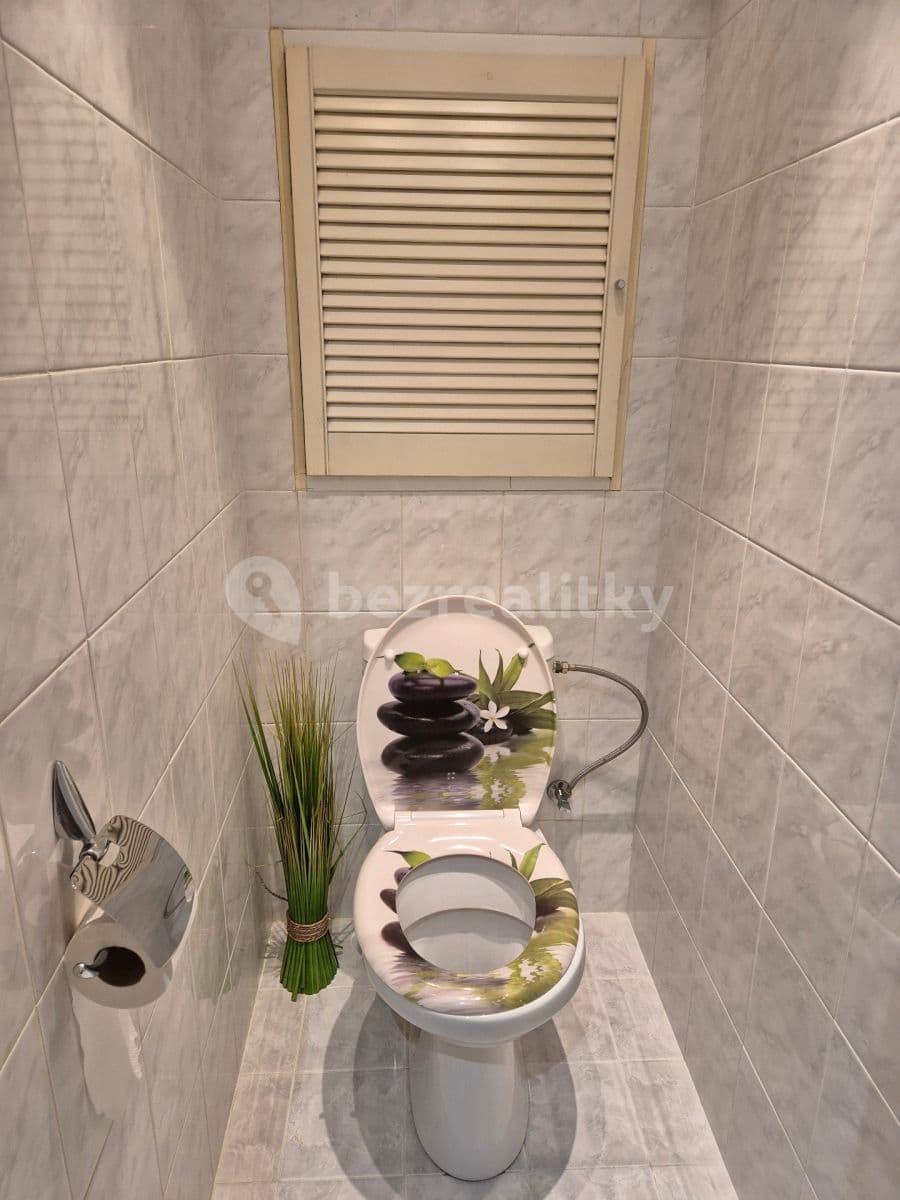 1 bedroom with open-plan kitchen flat to rent, 43 m², Boloňská, Prague, Prague 1 bedroom with open-plan kitchen flat to rent, 43 m², Boloňská, Prague, Prague