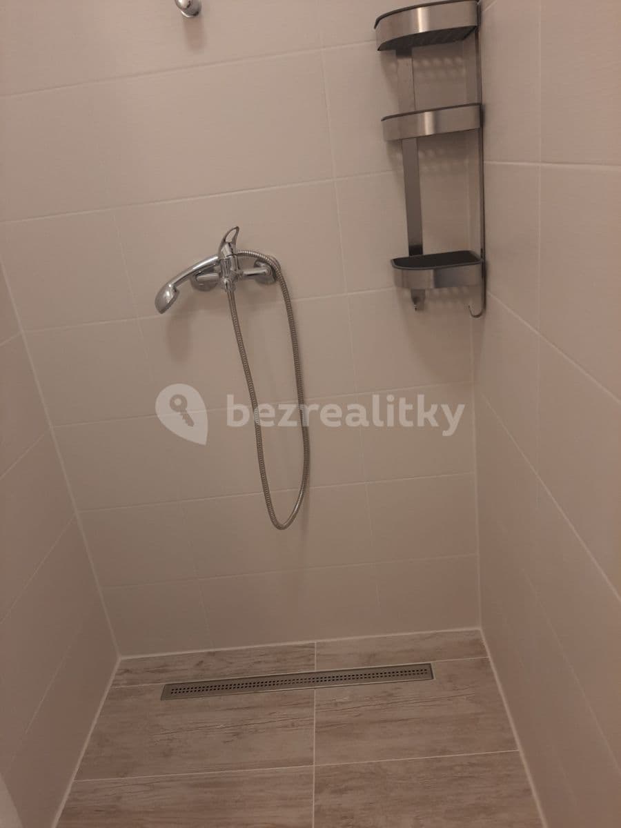 1 bedroom with open-plan kitchen flat to rent, 42 m², U Stojanu, Prague, Prague 1 bedroom with open-plan kitchen flat to rent, 42 m², U Stojanu, Prague, Prague