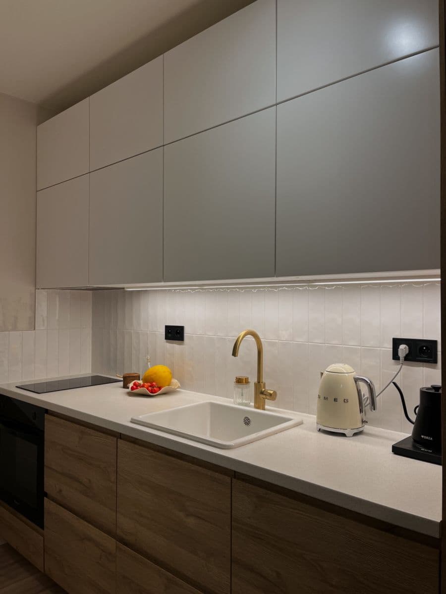 1 bedroom with open-plan kitchen flat to rent, 41 m², Podle Náhonu, Prague, Prague 1 bedroom with open-plan kitchen flat to rent, 41 m², Podle Náhonu, Prague, Prague