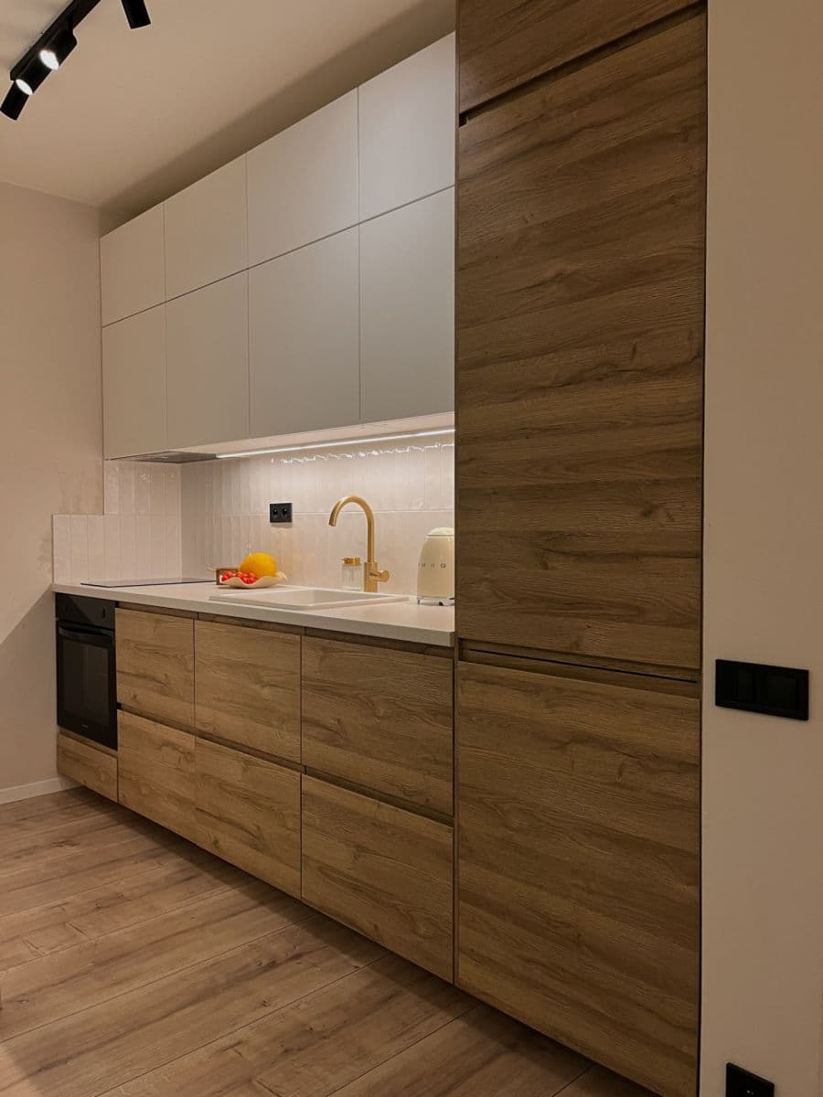 1 bedroom with open-plan kitchen flat to rent, 41 m², Podle Náhonu, Prague, Prague 1 bedroom with open-plan kitchen flat to rent, 41 m², Podle Náhonu, Prague, Prague