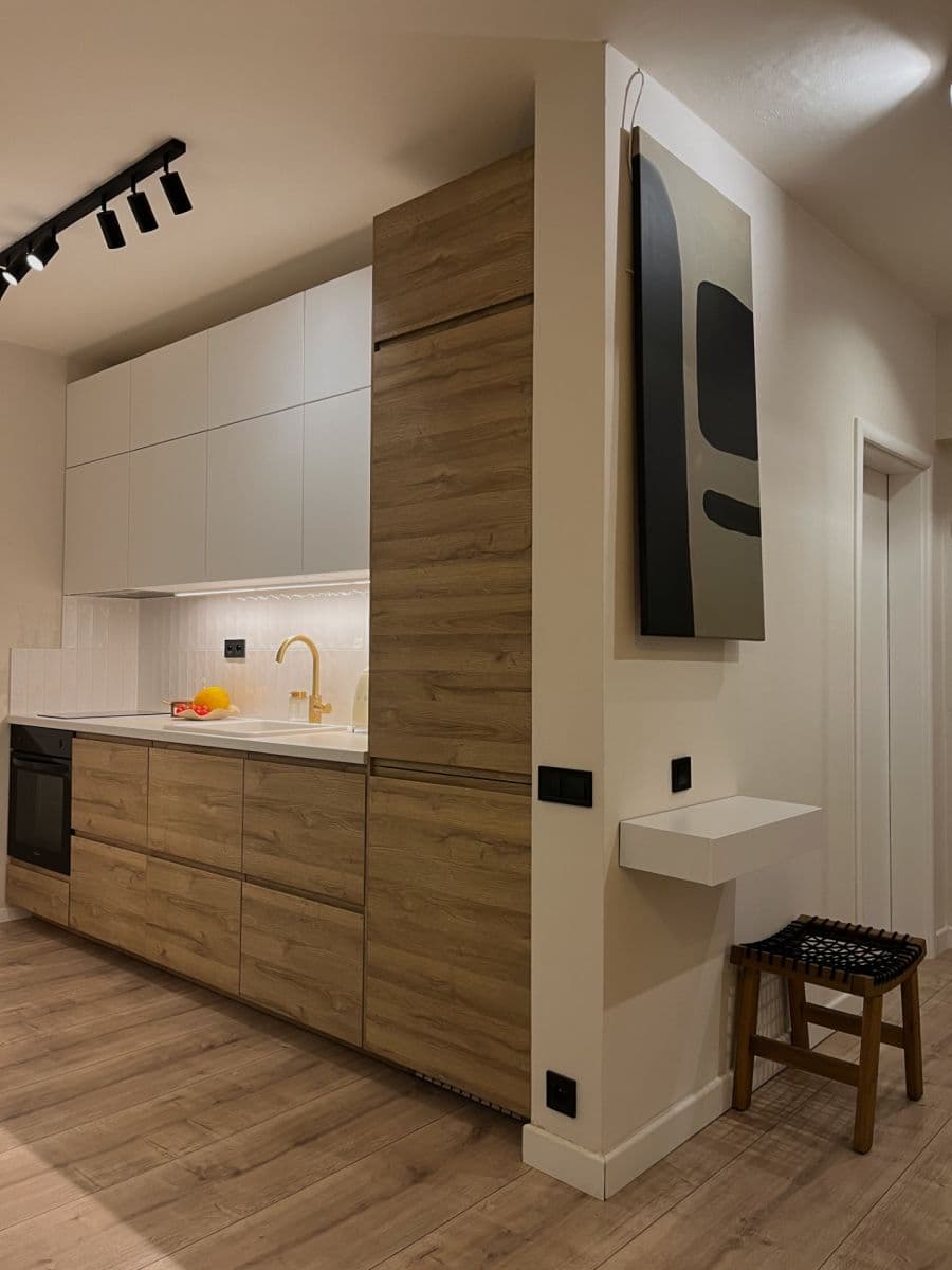 1 bedroom with open-plan kitchen flat to rent, 41 m², Podle Náhonu, Prague, Prague 1 bedroom with open-plan kitchen flat to rent, 41 m², Podle Náhonu, Prague, Prague