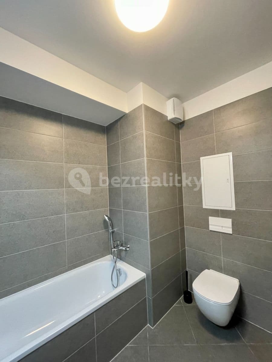 1 bedroom with open-plan kitchen flat to rent, 51 m², Gollové, Prague, Prague 1 bedroom with open-plan kitchen flat to rent, 51 m², Gollové, Prague, Prague
