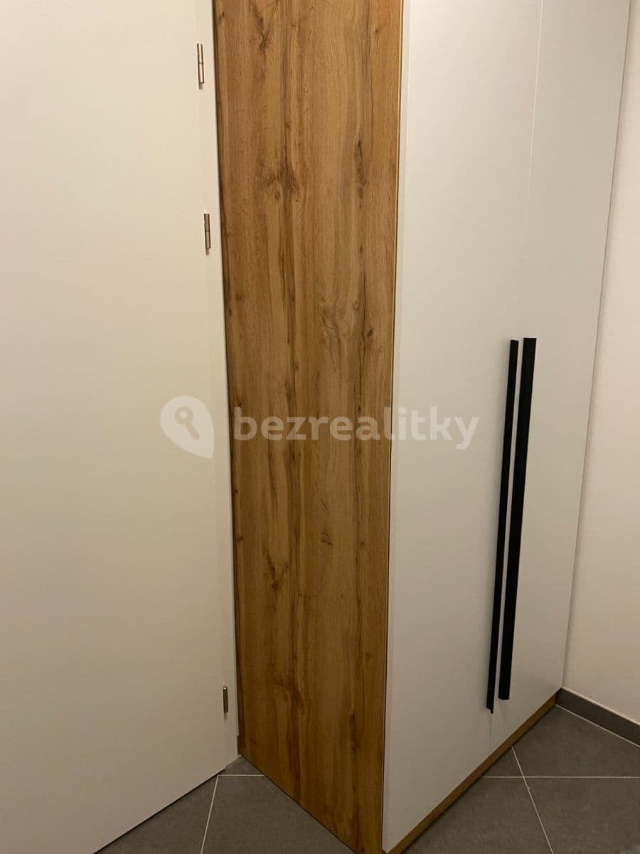 1 bedroom with open-plan kitchen flat to rent, 51 m², Gollové, Prague, Prague 1 bedroom with open-plan kitchen flat to rent, 51 m², Gollové, Prague, Prague