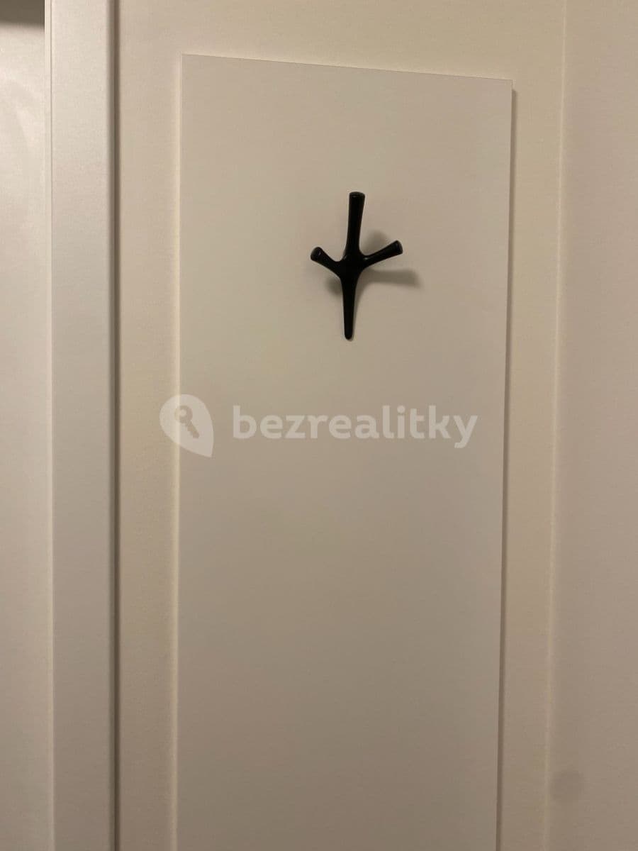 1 bedroom with open-plan kitchen flat to rent, 51 m², Gollové, Prague, Prague 1 bedroom with open-plan kitchen flat to rent, 51 m², Gollové, Prague, Prague